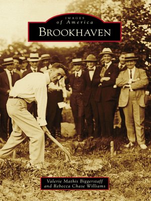 cover image of Brookhaven